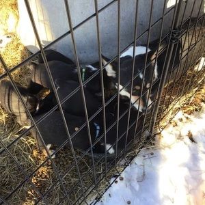 Meet your Posher, Kyle